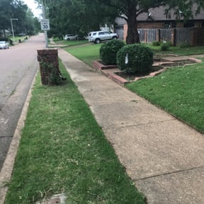 Bush Trimming by The lawn Service,LLC reviewed on August 19, 2025