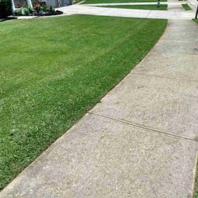 yard service by USA Lawncare Inc reviewed on August 18, 2025