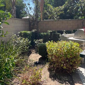 Bush Trimming by C.K. Lawn & Maintenance reviewed on August 20, 2025