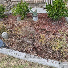 Flower Bed Weeding by Venerable Lawn Care LLC reviewed on June 29, 2026