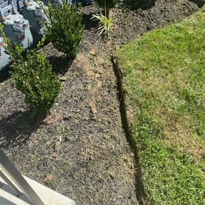 Flower Bed Weeding by Little Flower Home Service reviewed on August 18, 2025