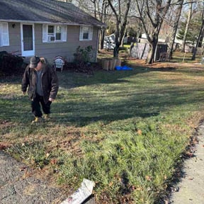 Leaf Removal by Flizzy motor reviewed on December 14, 2025