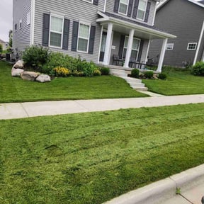 grass maintenance by Dayaris Landscaping & Pressure Washing LLC reviewed on June 13, 2023