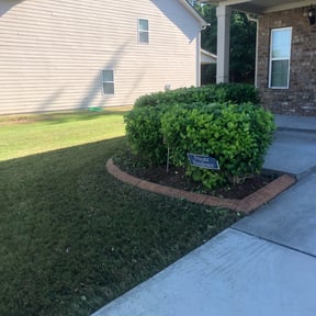 Bush Trimming by Greeners.INC reviewed on August 16, 2025