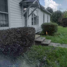 Bush Trimming by Willie's Mobile Lawn Services reviewed on August 15, 2025