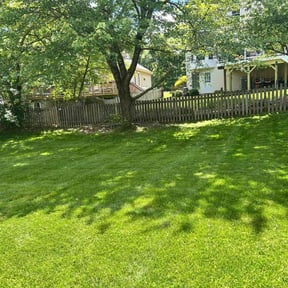 residential landscaping by Lawn Care Rx reviewed on August 17, 2025
