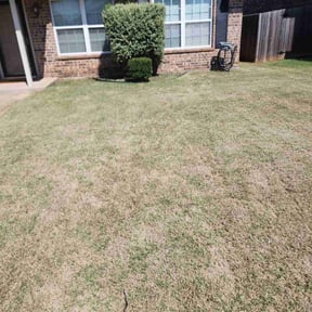 Bush Trimming by Greg's Landscaping reviewed on August 15, 2025