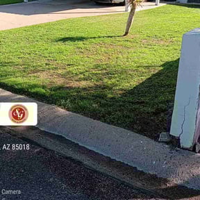 Bush Trimming by AJ&#039;s Second Chance Landscaping reviewed on November 4, 2025