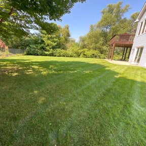 yard maintenance by Walker Handyman reviewed on November 20, 2025