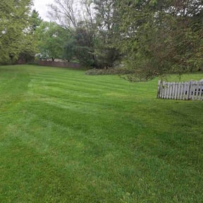 yard care by Life Source Lawn Care and Property Services reviewed on August 21, 2025