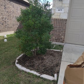 Flower Bed Weeding by Jerry Rios Lawn Serviceu reviewed on August 19, 2025