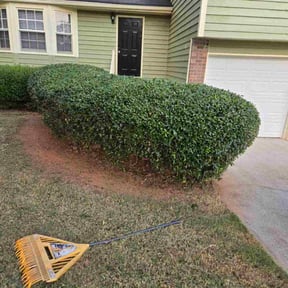 Bush Trimming by Real Touch Services LLC reviewed on August 10, 2024