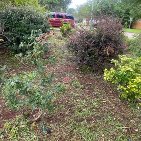 Flower Bed Weeding by Mila Boza reviewed on August 18, 2025