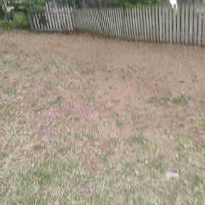 Leaf Removal by Matt’s junk removal &amp; landscaping reviewed on July 8, 2026