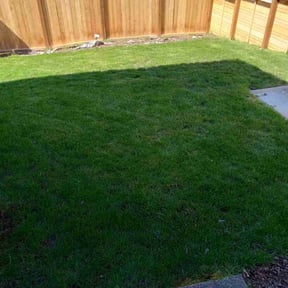 grass maintenance by Legacy reviewed on May 15, 2024