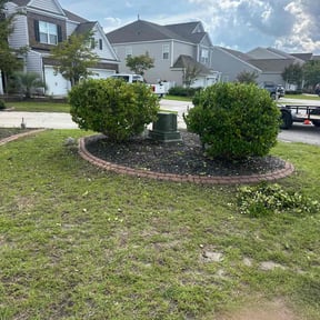 Bush Trimming by Natural Impressions LLC reviewed on August 10, 2024