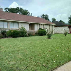 landscaping services by Shane Ray reviewed on August 17, 2025