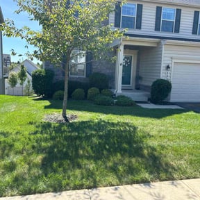residential landscaping by Fiechtner Landscape Services reviewed on August 15, 2025