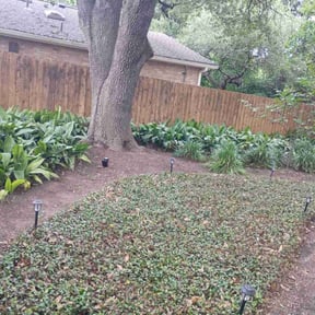 Leaf Removal by AYALA LAWN SERVICES reviewed on October 2, 2025