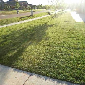 gardening service by T.R. Integrated Services reviewed on September 27, 2023