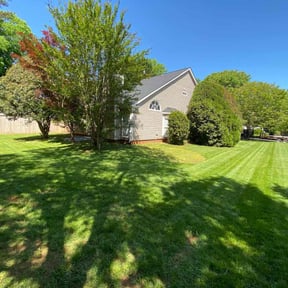 gardening service by Mendoza lawn services reviewed on August 19, 2025