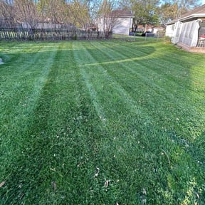 lawn care services by Design Cuts Landscaping LLC reviewed on August 15, 2025