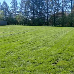 yard maintenance by Clear Cuts lawn service reviewed on August 17, 2025