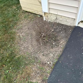Flower Bed Weeding by Re Image lawn care reviewed on October 19, 2025