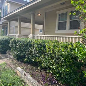 Bush Trimming by Quarter Acre 2 reviewed on June 10, 2026