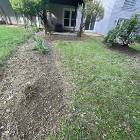 Flower Bed Weeding by Meaux King reviewed on May 29, 2026