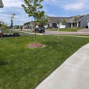 landscaping by Top Turf L.L.C reviewed on August 16, 2025