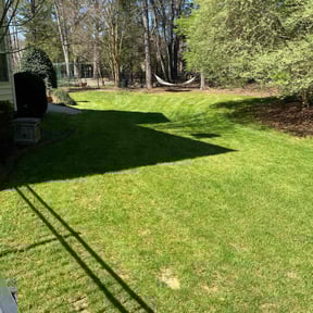 residential landscaping by Stevenson lawn care reviewed on August 20, 2025