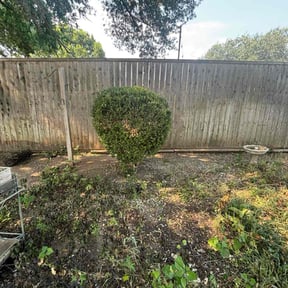 Bush Trimming by LGM Property Associates reviewed on November 27, 2025