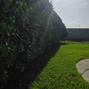 Bush Trimming by 2mowbros reviewed on August 18, 2026