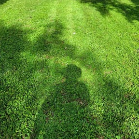 gardening service by Juan&#039;s Lawn Care reviewed on May 9, 2024