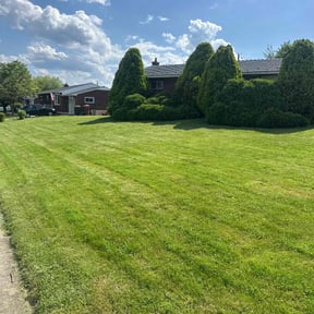 landscape maintenance by All Seasons Property Maintenance reviewed on August 19, 2025