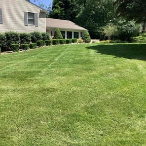 yard work by Pro Green Landscape L L C reviewed on August 15, 2025
