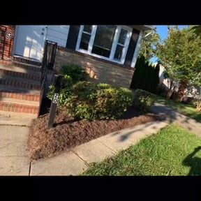Bush Trimming by T &O Landscape Service LLC reviewed on August 20, 2025