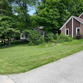 yard work by Azuloutdoorservices@gmail.com reviewed on August 21, 2025