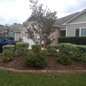 Bush Trimming by M. Molina Landscaping LLC reviewed on August 21, 2025