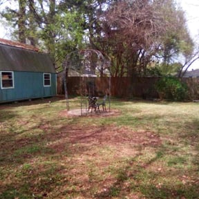 Leaf Removal by Starview lawncare reviewed on April 12, 2026