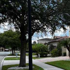 yard care by Thatsmydadlawncarellc reviewed on August 20, 2025