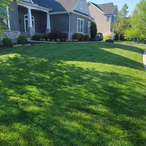 yard service by Hayes Landscapes reviewed on January 19, 2026