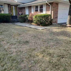 Bush Trimming by Tikitiki Garden Service reviewed on August 17, 2025