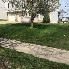 landscaping services by In Between The Lines LLC reviewed on November 20, 2025