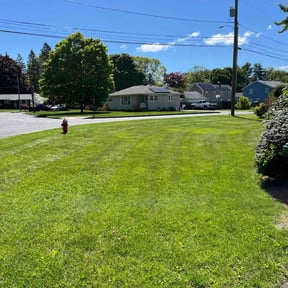 turf maintenance by Keep It Cut Lawn Services reviewed on April 19, 2024