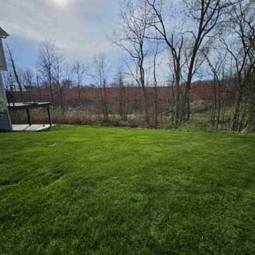 turf maintenance by Scott Basinger lawn care reviewed on June 23, 2023