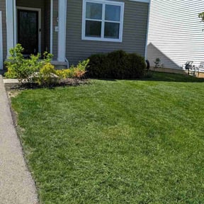 turf maintenance by Blacklick Lawn Care LLC reviewed on June 4, 2025