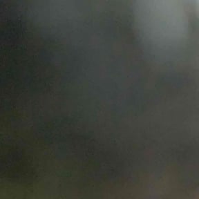 Bush Trimming by Alex &amp; Olga Lawn Services reviewed on April 2, 2024