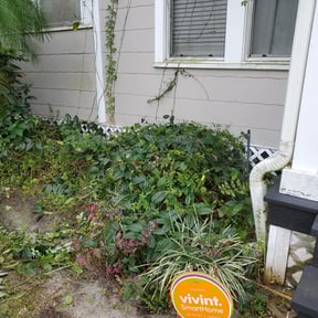 Bush Trimming by A. Gonzalez Landscaping reviewed on August 16, 2025